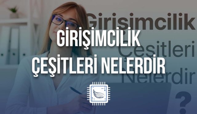 girisimcilik-cesitleri